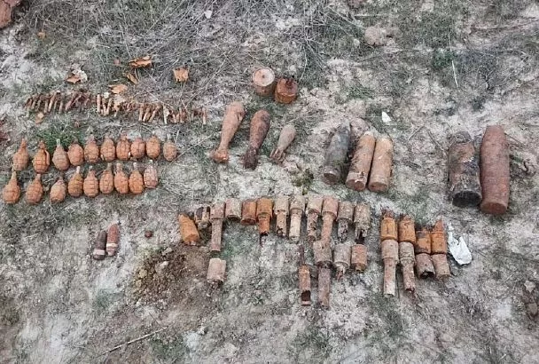 Рабочие нашли в лесу Крымского района 75 боеприпасов времен войны