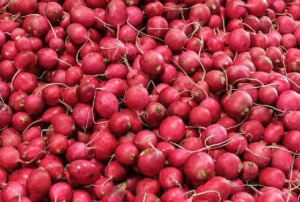 Планируй грядки зимой: мой секрет прост – сначала сажаю редис, а потом на его месте – кабачки