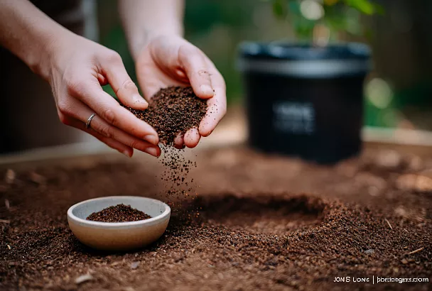 Не выбрасывайте кофейную гущу — она стоит своего веса в золоте
