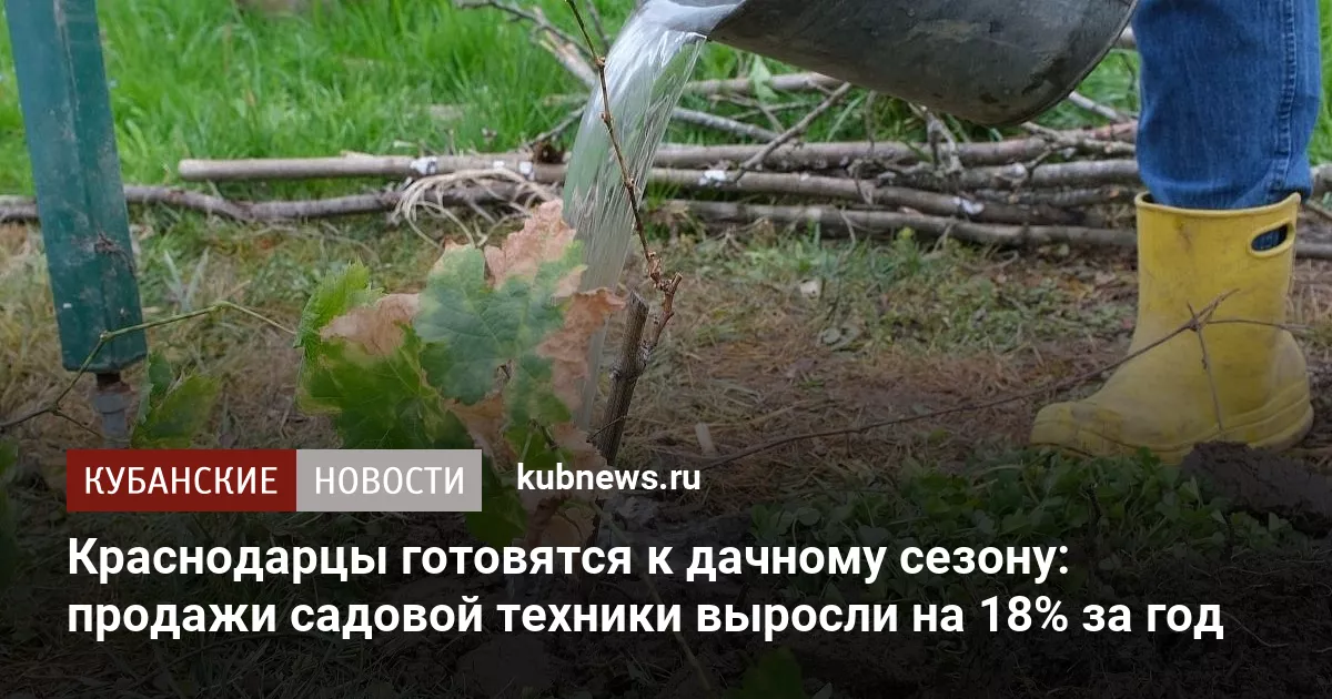 Краснодарцы готовятся к дачному сезону: продажи садовой техники выросли на 18% за год