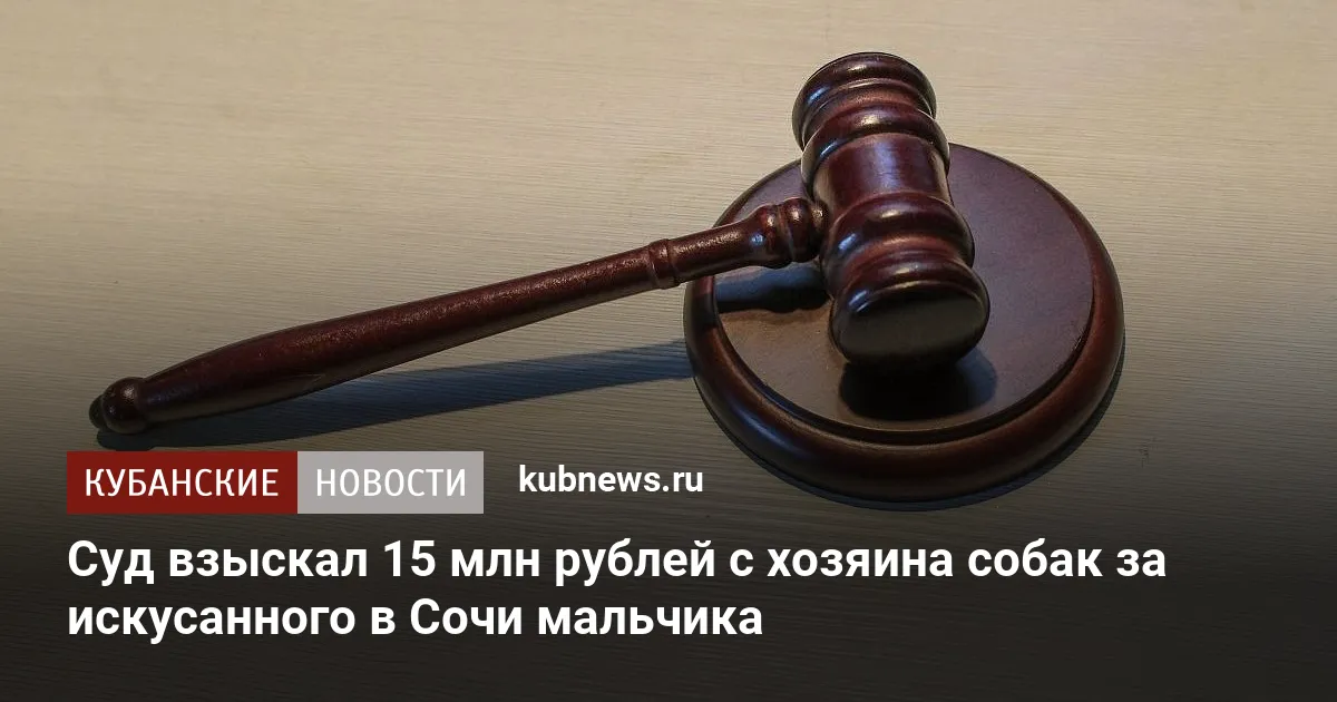 Суд взыскал 15 млн рублей с хозяина собак за искусанного в Сочи мальчика