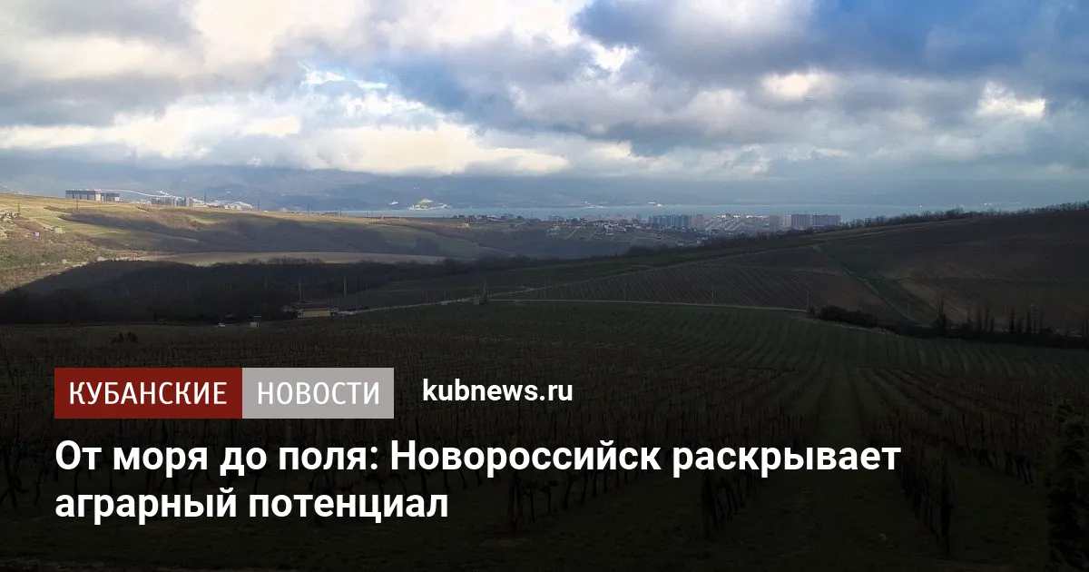От моря до поля: Новороссийск раскрывает аграрный потенциал