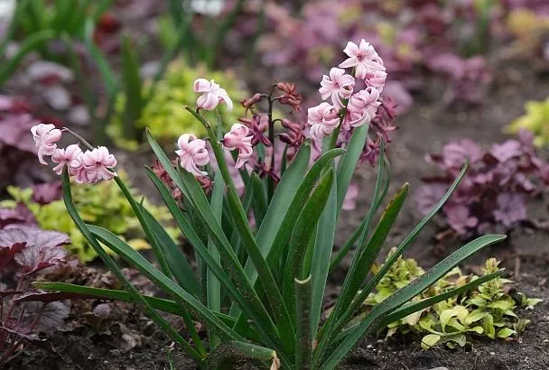 Тепло до +22 градусов ворвется на Юг России: в каких регионах ожидаются максимальные температуры