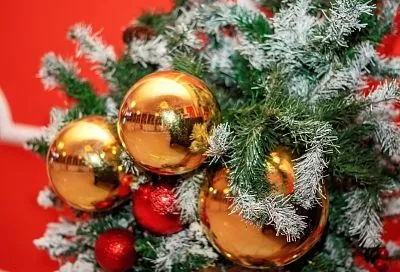 В Госдуме предложили запустить платформу для обмена новогодними игрушками