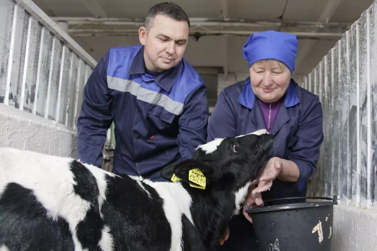 Новые горизонты открываю, большой простор для творчества, особенно когда рядом с тобой такие специалисты, да к тому же просто замечательные люди. Новые горизонты открываю, большой простор для творчества, особенно когда рядом с тобой такие специалисты, да к тому же просто замечательные люди.