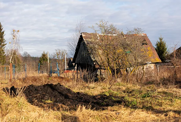 В одном из регионов страны впервые изъяли заброшенные садоводческие земли
