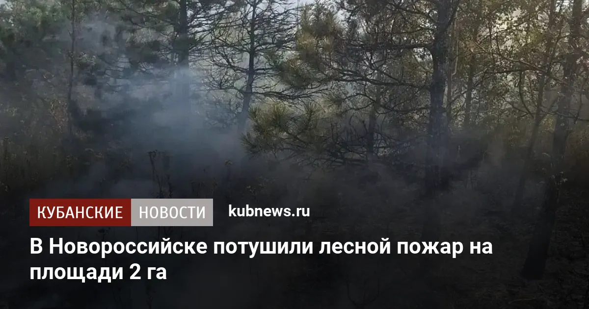 В Новороссийске потушили лесной пожар на площади 2 га