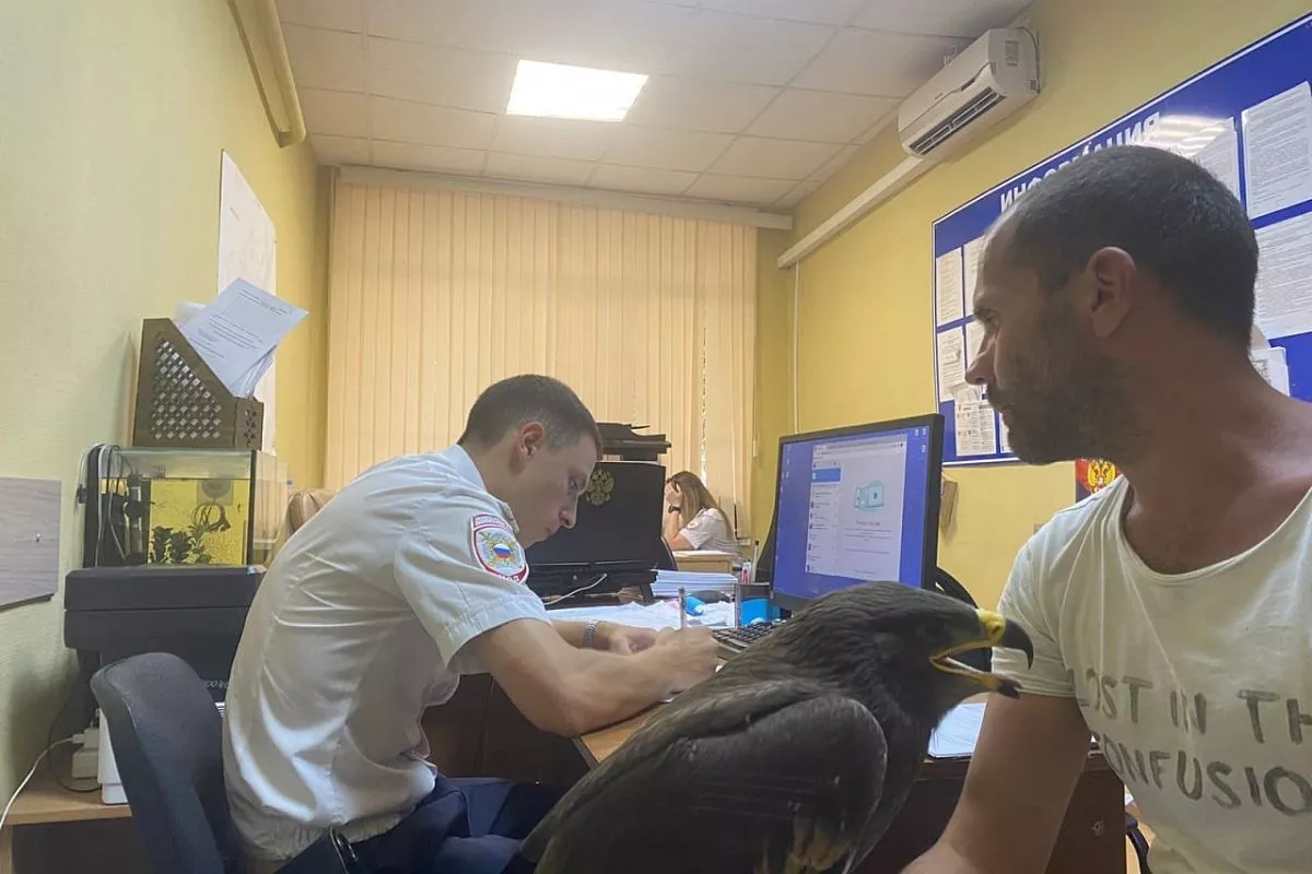 В Анапе полицейские забрали орла у фотографа-живодера