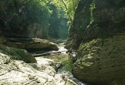 Усадьбы, каньон и дуб-исполин: что посмотреть за один день в Туапсе и его окрестностях