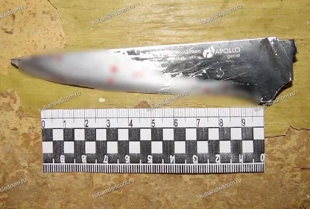 Пьяный кубанец воткнул нож в шею знакомому во время застолья