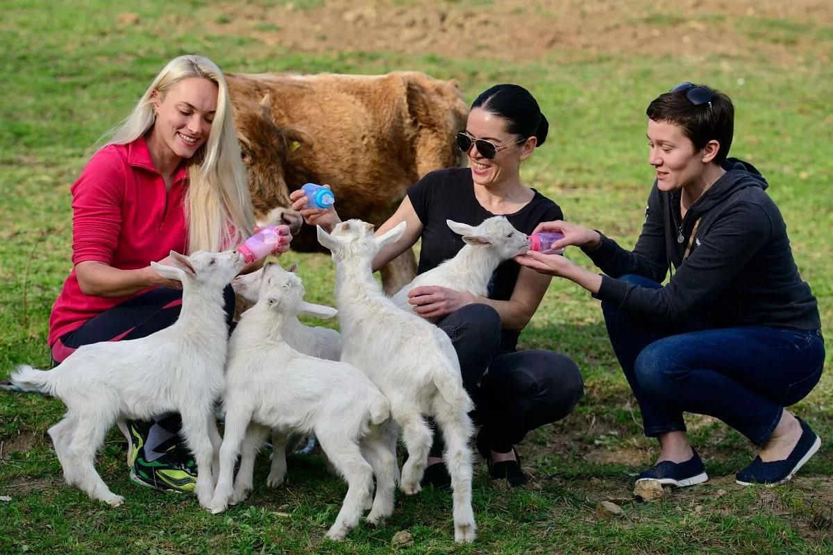 Сегодня на экоферме Экзархо с удовольствием встречают туристов со всех уголков мира. Сегодня на экоферме Экзархо с удовольствием встречают туристов со всех уголков мира.