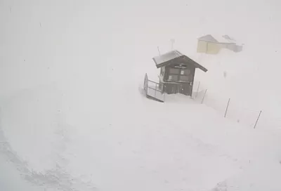 Сугробы в высокогорье Сочи выросли на 13 сантиметров за сутки