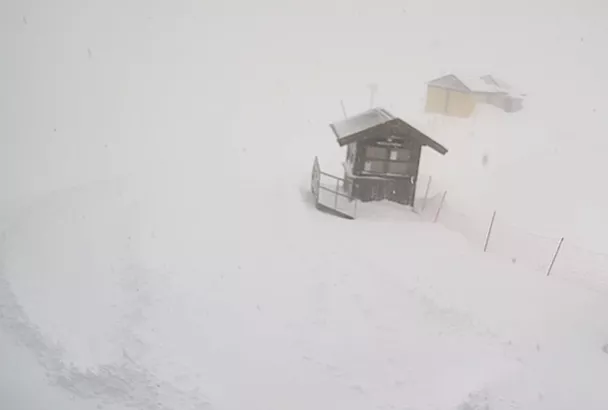 Сугробы в высокогорье Сочи выросли на 13 сантиметров за сутки