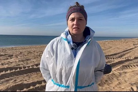 Елена Дружкова