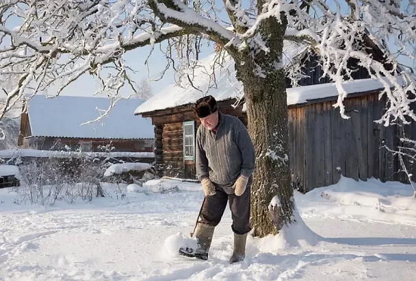 Втаптывание снега вокруг деревьев: польза или вред? Разбираем мифы и риски зимнего ухода за садом