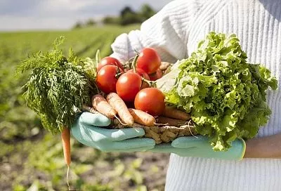 Превратит ваш участок в оазис плодородия: янтарная кислота – волшебный эликсир для суперурожая (3 способа + лайфхак)