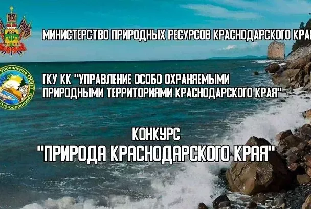 Посвященный природе творческий конкурс проходит в Краснодарском крае