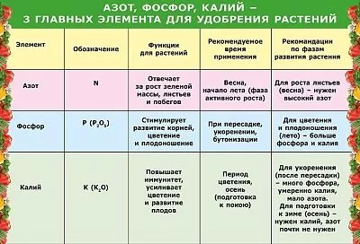 Химия на огороде: азот, фосфор и калий – 3 кита богатых урожаев и буйного цветения