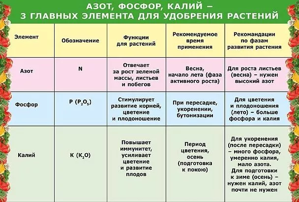 Химия на огороде: азот, фосфор и калий – 3 кита богатых урожаев и буйного цветения