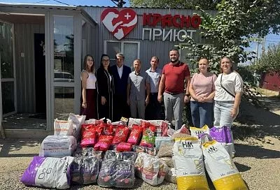 Сторонники «Единой России» передали гуманитарную помощь в приюты для животных в Краснодаре