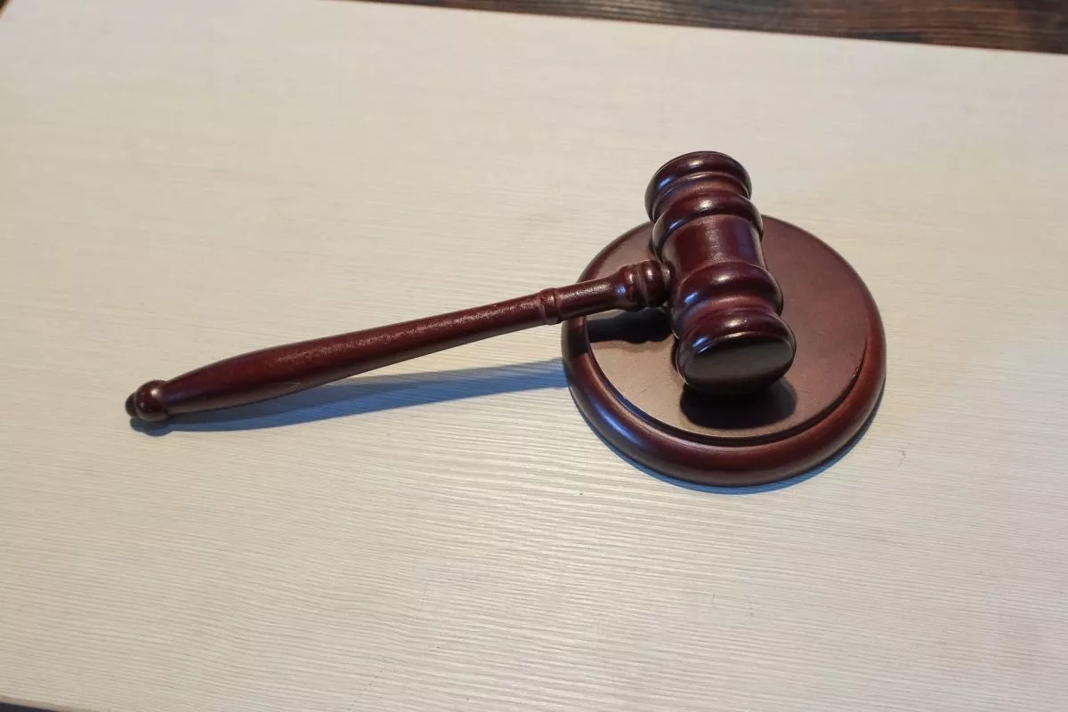 Кассация защитила права жительницы Краснодара в споре о возмещении ущерба после падения дерева на ее автомобиль 