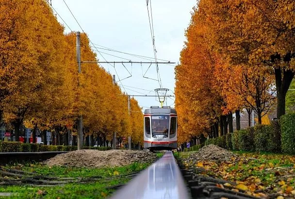 Температурные показатели на Кубани останутся в рамках климатической нормы