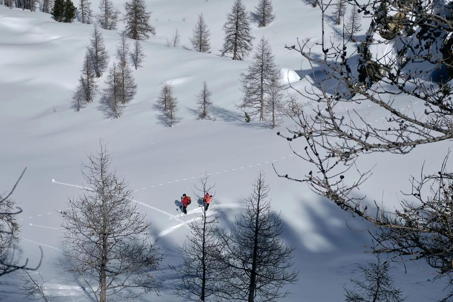 «Все-таки зима будет»: Гидрометцентр предупредил о похолодании в новом сезоне