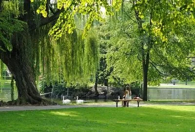 В 2026 году в Краснодарском крае благоустроят более 170 парков и скверов