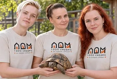 Спасти Ахиллеса и черепаху