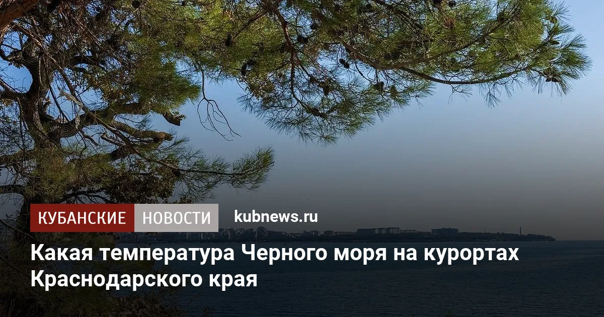 Какая температура Черного моря на курортах Краснодарского края
