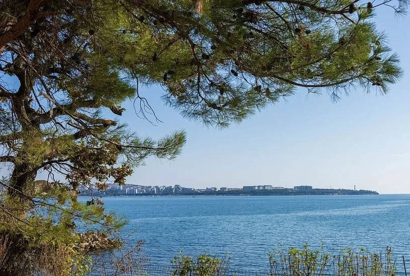 Какая температура Черного моря на курортах Краснодарского края