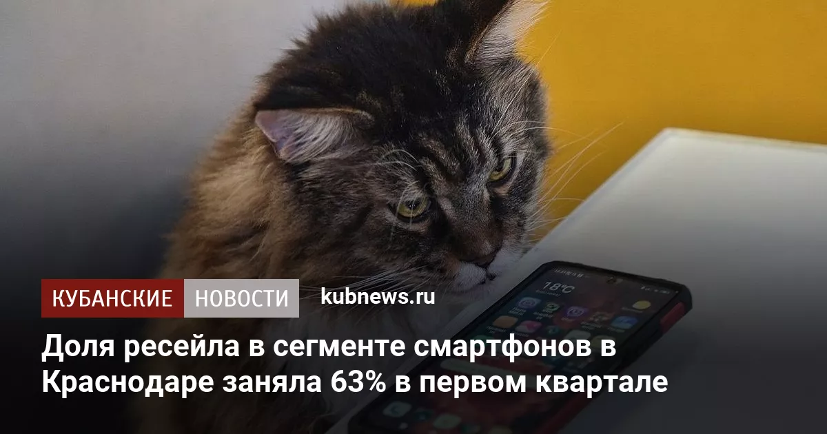 Доля ресейла в сегменте смартфонов в Краснодаре заняла 63% в первом квартале
