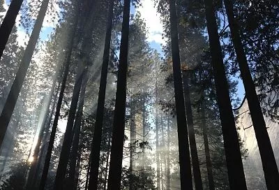 Народные приметы на сегодня – 2 марта, что можно и нельзя делать в Кириллов день по народному календарю