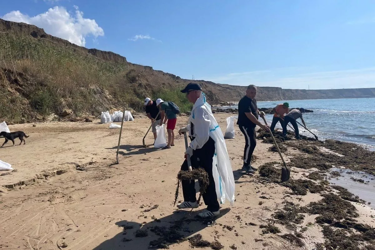 Выбросы фрагментов нефтепродуктов зафиксированы в Темрюкском районе