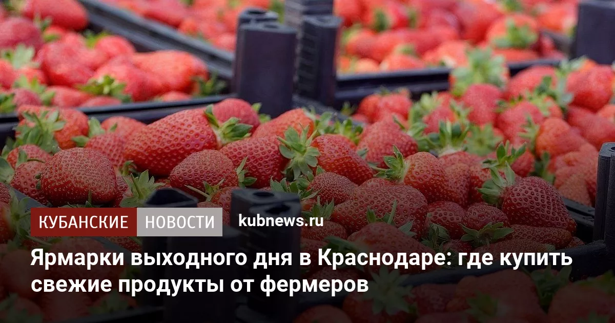 Ярмарки выходного дня в Краснодаре: где купить свежие продукты от фермеров