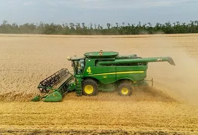 Город, окруженный пашнями и садами: как развивается аграрный комплекс в кубанской столице