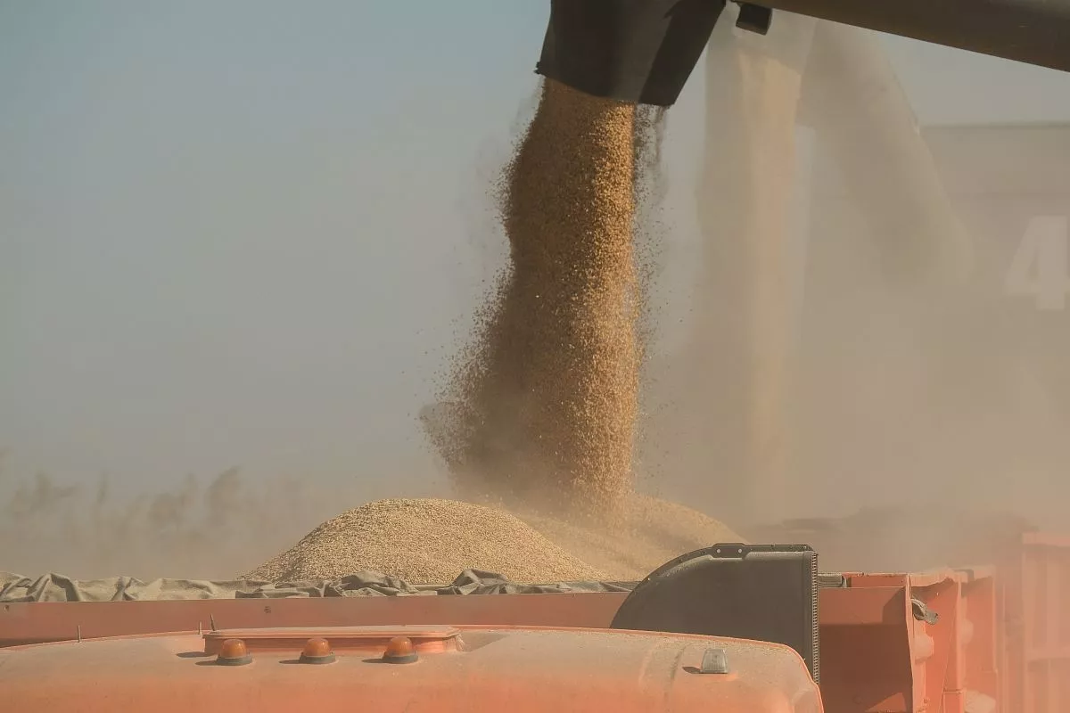 При наполнении бункера звучит сигнал - пора перегружать рис в автомобиль. При наполнении бункера звучит сигнал - пора перегружать рис в автомобиль.