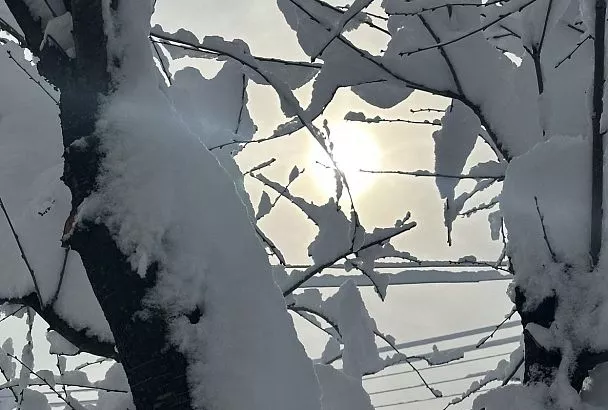 Экстремальный холод: рекорды морозов побиты 10 марта в двух регионах России