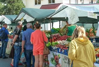 Свежие продукты от фермеров со всего края: где в Краснодаре 9 августа откроются ярмарки выходного дня