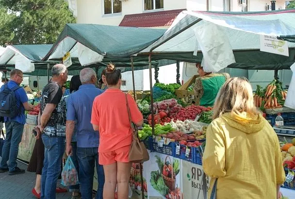 Свежие продукты от фермеров со всего края: где в Краснодаре 9 августа откроются ярмарки выходного дня