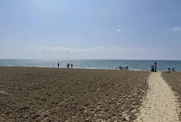 Губернатор Вениамин Кондратьев: «Эксперимент по отсыпке песка на тестовом участке в селе Витязево в Анапе показал свою эффективность»