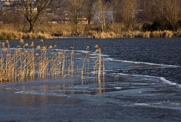 Ученые разработали программу для снижения ущерба от прорывных паводков