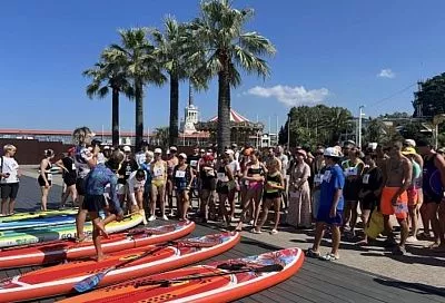 В Сочи провели фестиваль сапсерфинга