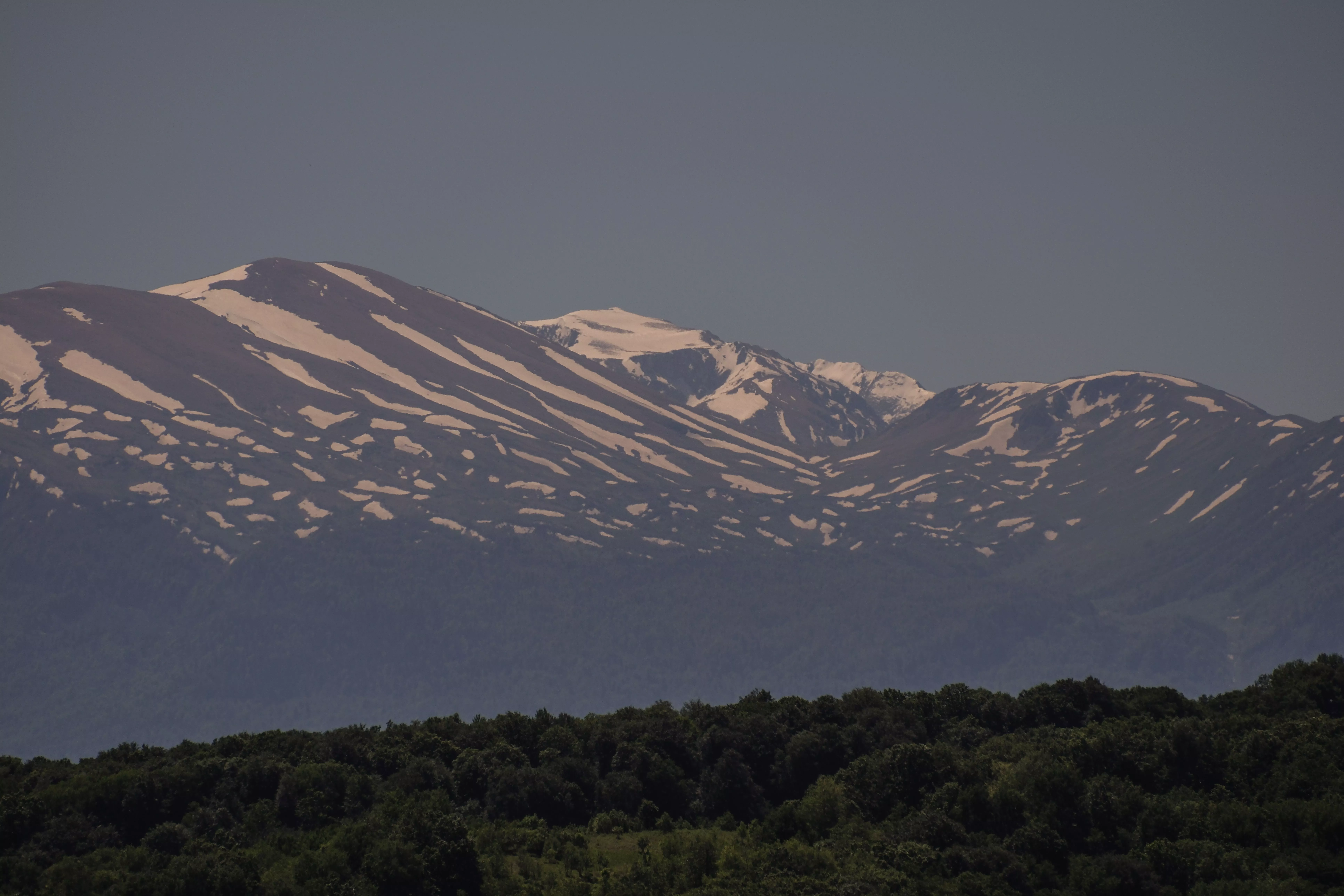 Ученые: на Кавказе миллионы лет назад жили «ужасные гиены»