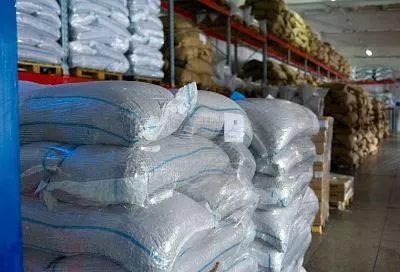 Названы самые высокооплачиваемые специалисты в сфере транспорта и логистики в Краснодарском крае