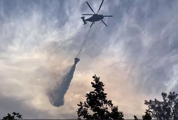 Из искры – пламя: почему на Кубани горят леса