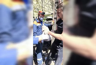 Живую кошку нашли спасатели под завалами разрушенного дома в Туапсе