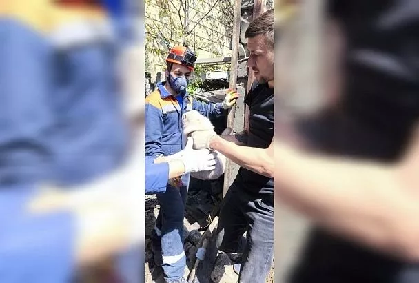 Живую кошку нашли спасатели под завалами разрушенного дома в Туапсе