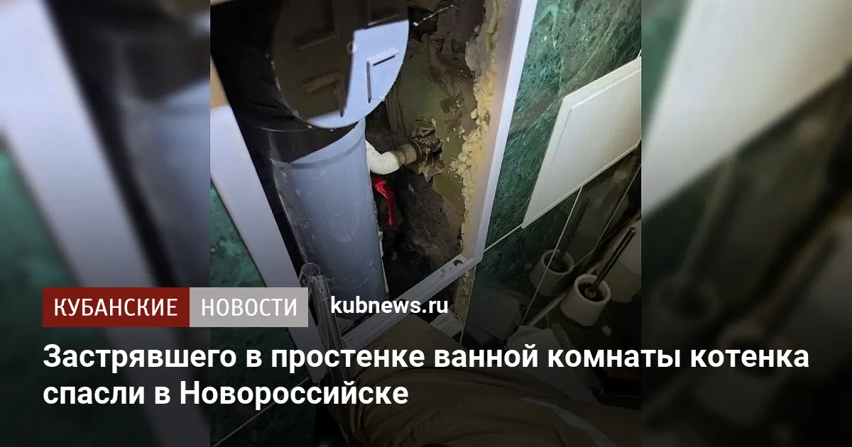 Застрявшего в простенке ванной комнаты котенка спасли в Новороссийске