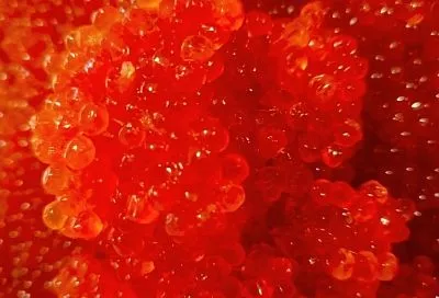 Роскачество обнаружило кишечную палочку в икре пяти торговых марок